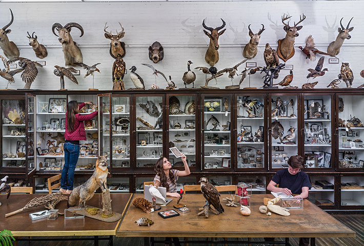 Students in a room of taxidermy. Links to Gifts of Cash, Checks, and Credit Cards
